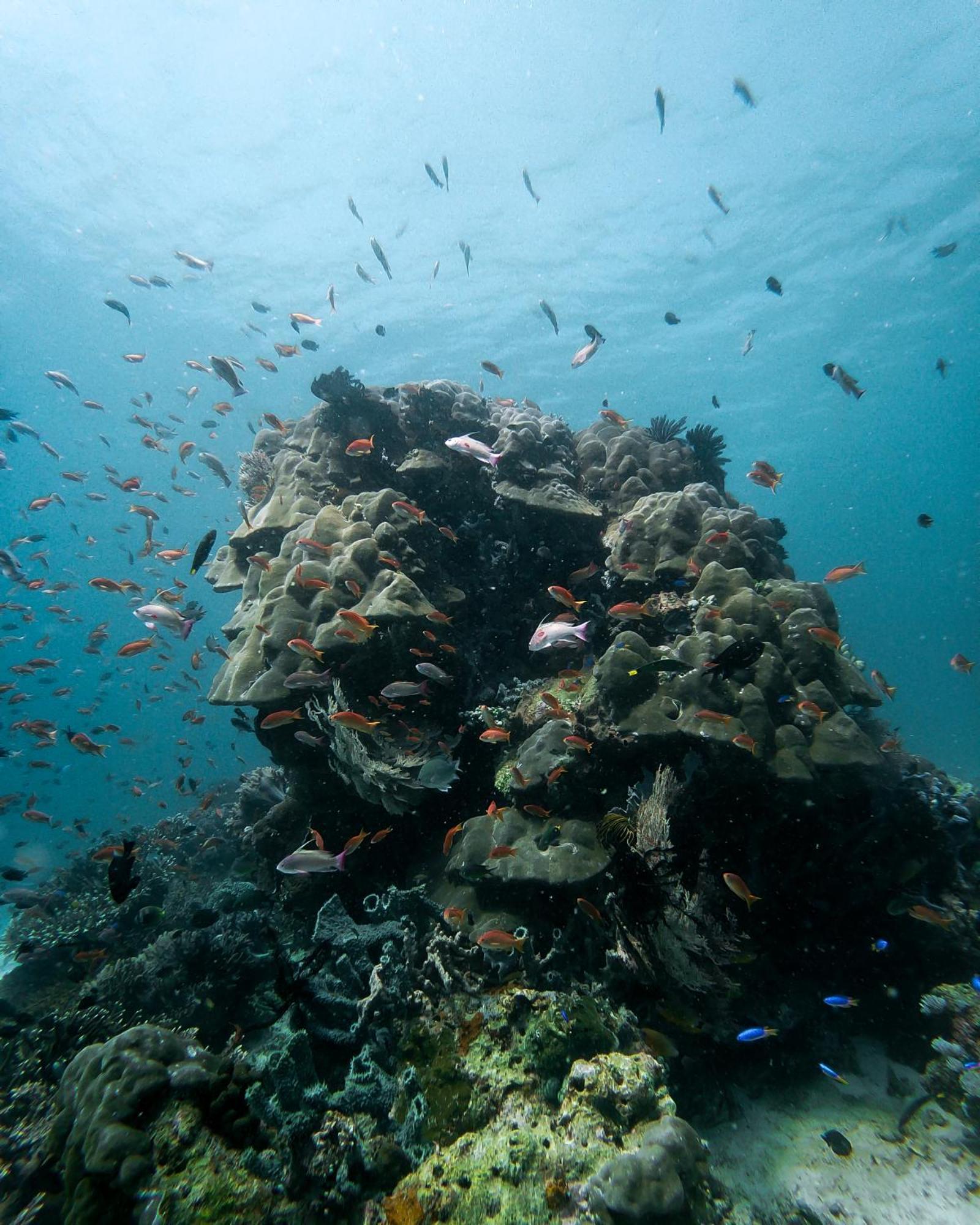 Menjaga Bay Hotel Labuan Bajo Eksteriør billede